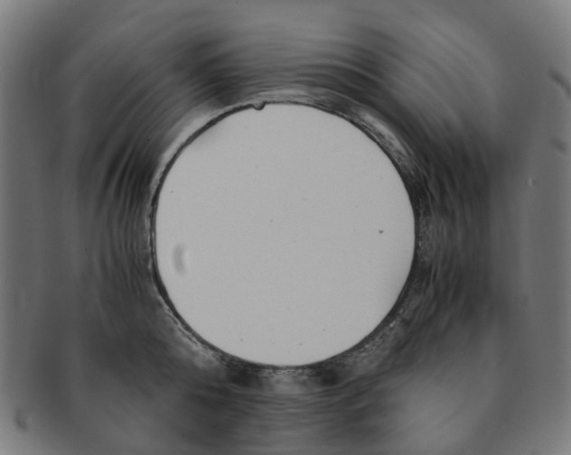 X0000091240808200709061539