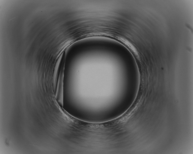 X0000091240809200709061539