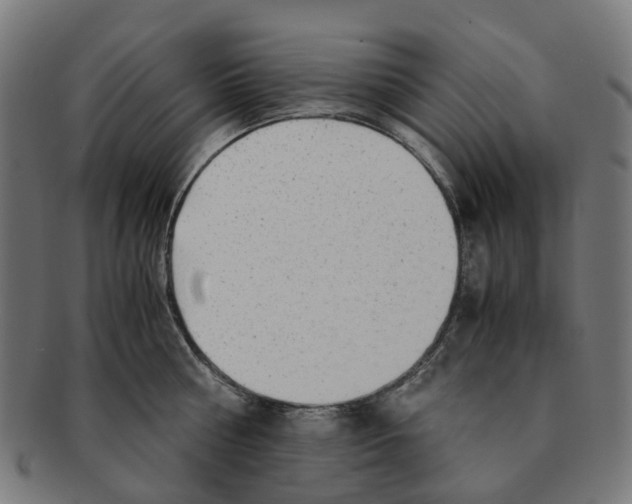X0000091240810200709061539