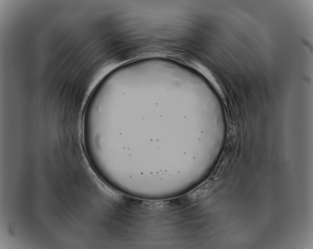 X0000091240811200709061539
