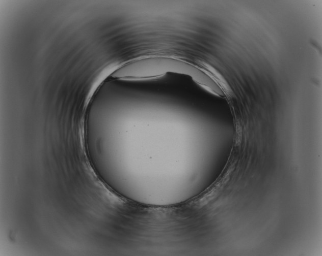 X0000091240812200709061539