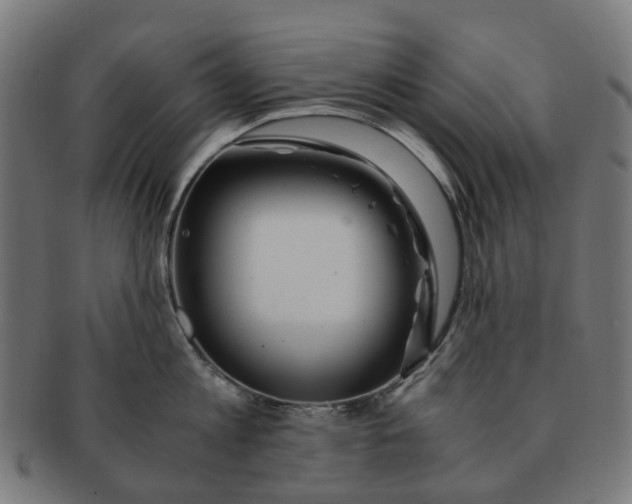X0000091240813200709061539