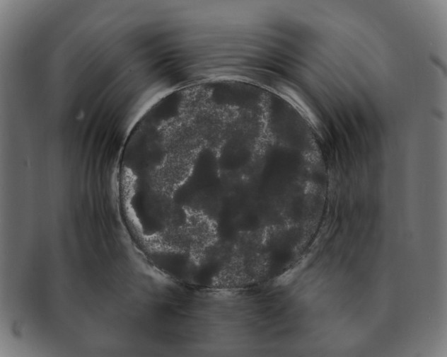 X0000091240814200709061539