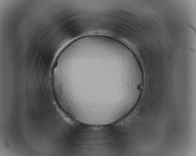 X0000091240816200709061538