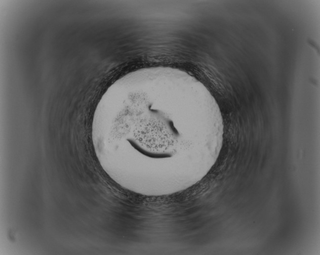 X0000091240817200709061538