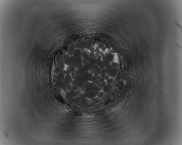 X0000091240818200709061538