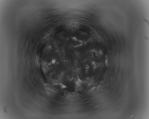 X0000091240819200709061538
