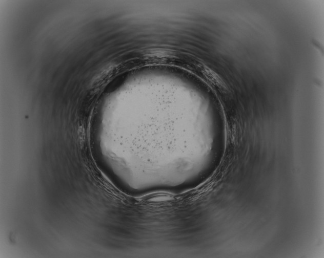 X0000091240821200709061538