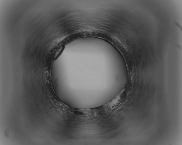 X0000091240822200709061538