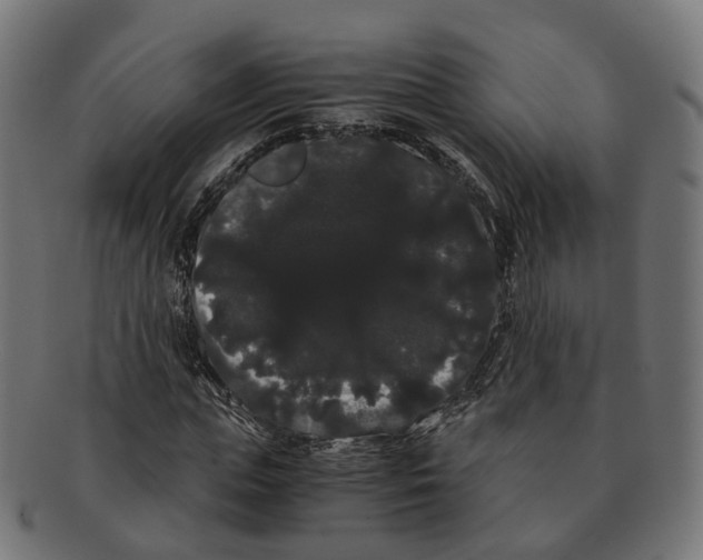 X0000091240823200709061538