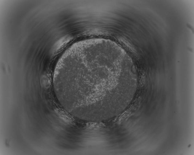 X0000091240824200709061538