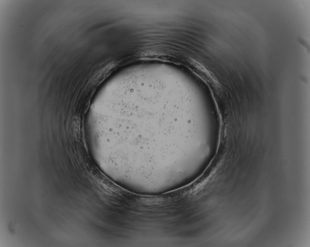 X0000091240825200709061538