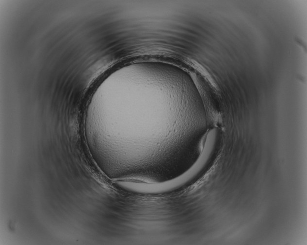 X0000091240826200709061538