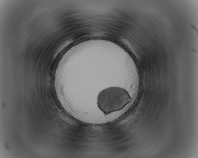 X0000091240827200709061538