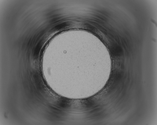 X0000091240828200709061538