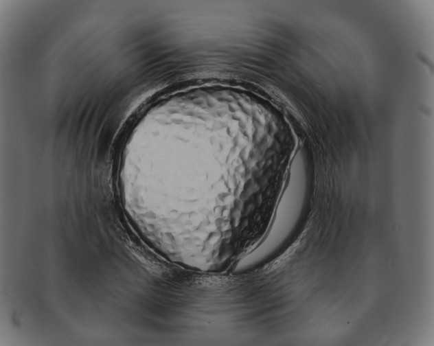 X0000091240830200709061538