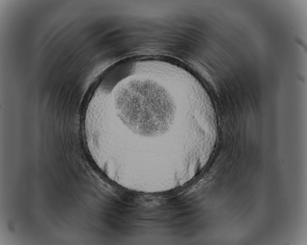X0000091240831200709061538