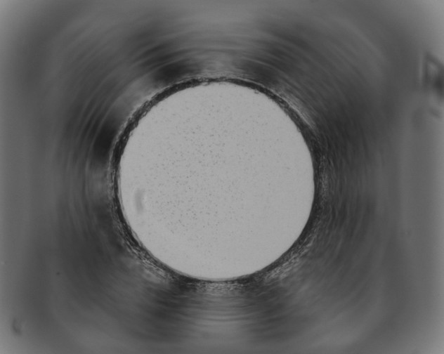 X0000091240832200709061538