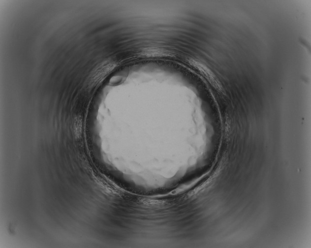 X0000091240833200709061538