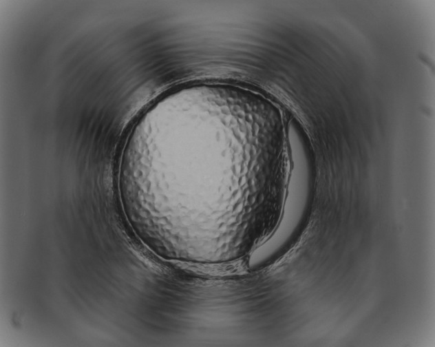 X0000091240834200709061538