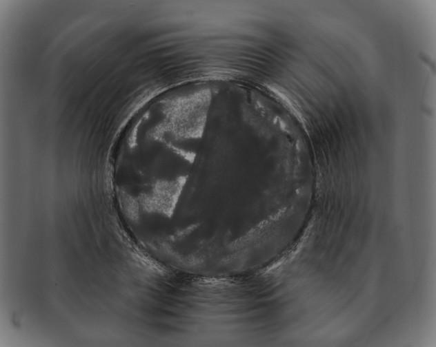 X0000091240835200709061538