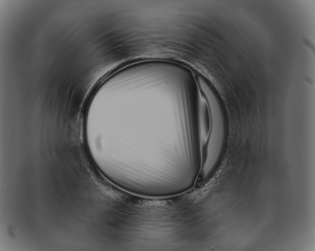 X0000091240838200709061538