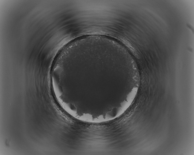 X0000091240840200709061538