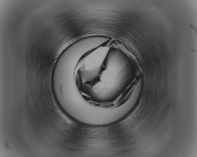 X0000091240842200709061538