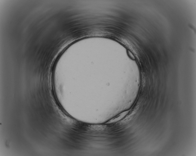 X0000091240843200709061538