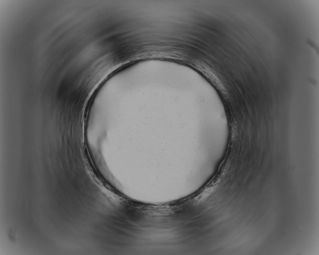 X0000091240844200709061538