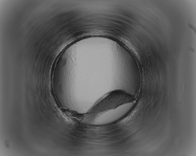 X0000091240845200709061538