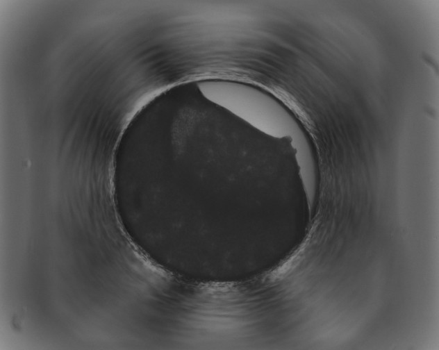 X0000091240846200709061538