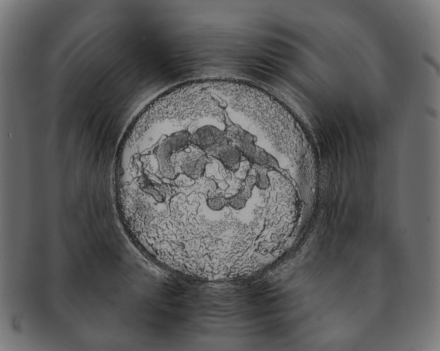 X0000091240847200709061538