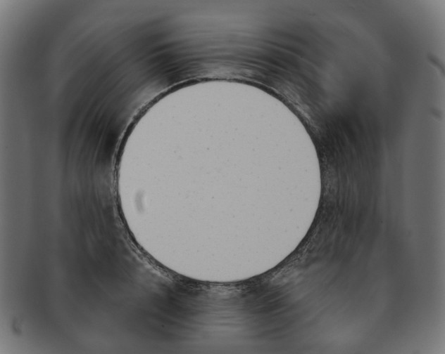 X0000091240848200709061538