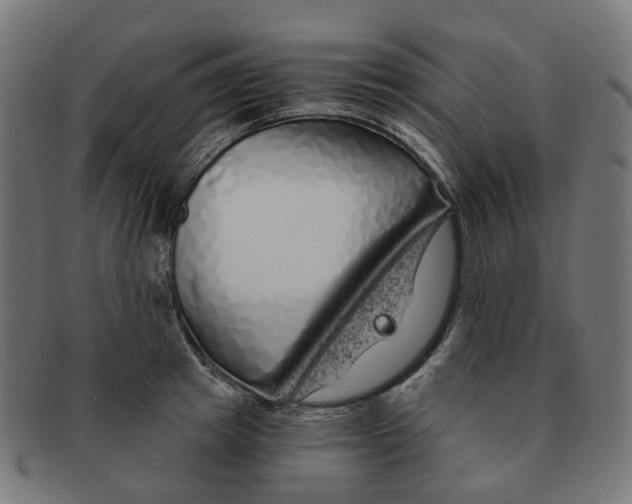 X0000091240849200709061538
