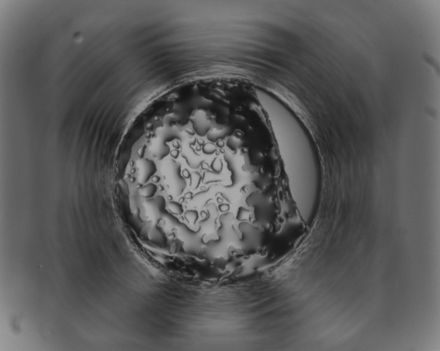 X0000091240850200709061538