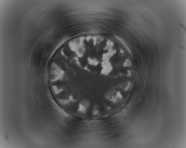 X0000091240851200709061538