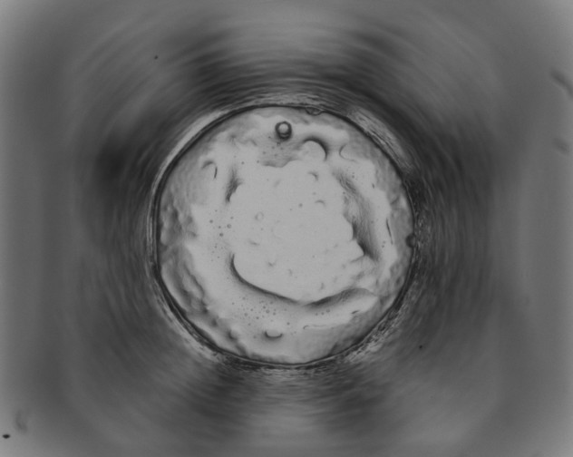 X0000091240852200709061538