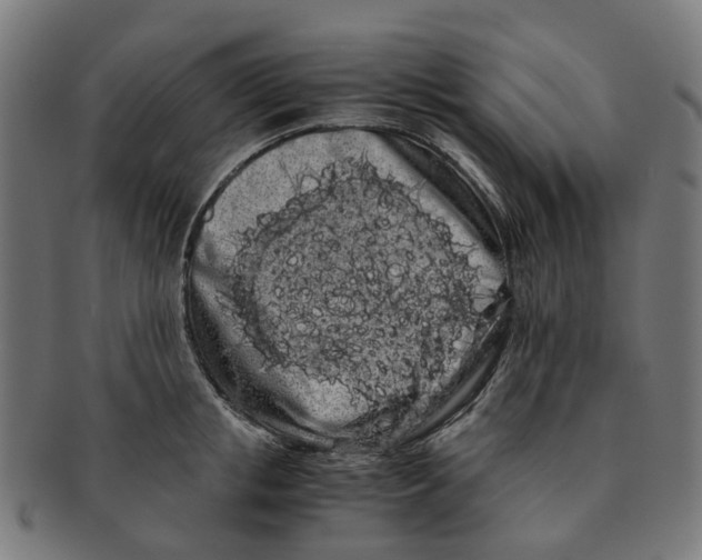 X0000091240853200709061538