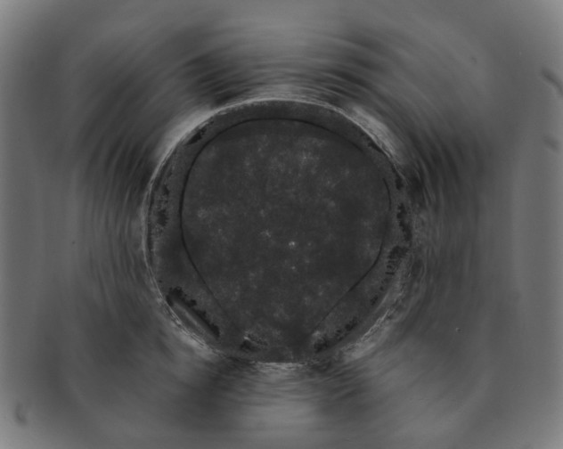 X0000091240854200709061538