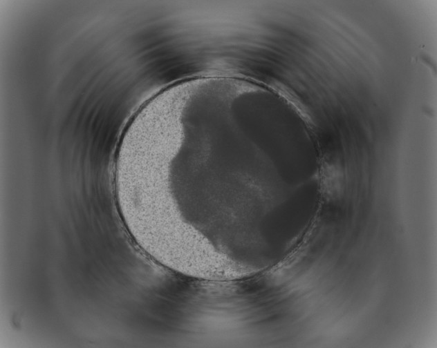X0000091240856200709061538