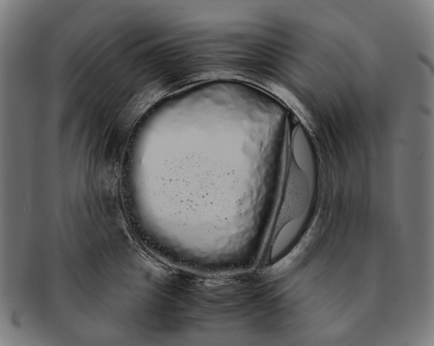 X0000091240857200709061538