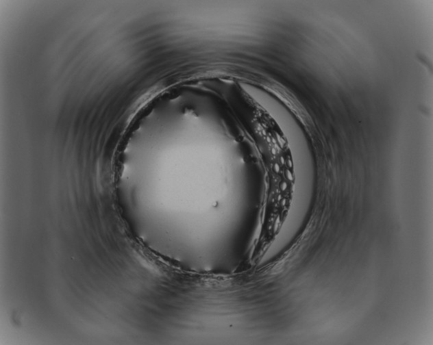 X0000091240858200709061538
