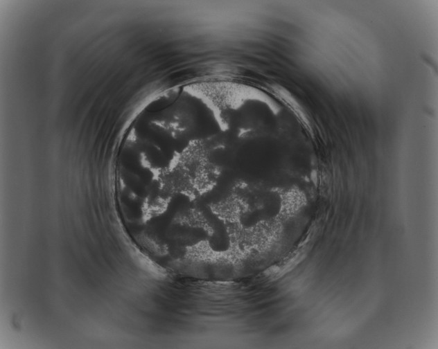 X0000091240859200709061538
