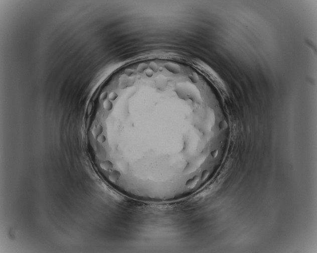 X0000091240860200709061538