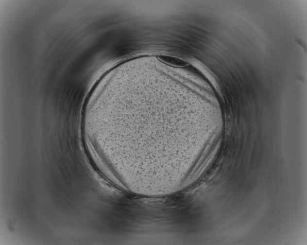 X0000091240861200709061538