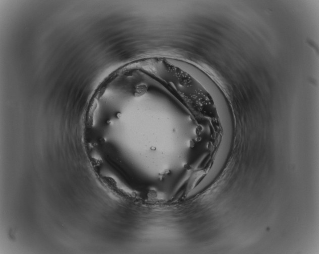 X0000091240862200709061538