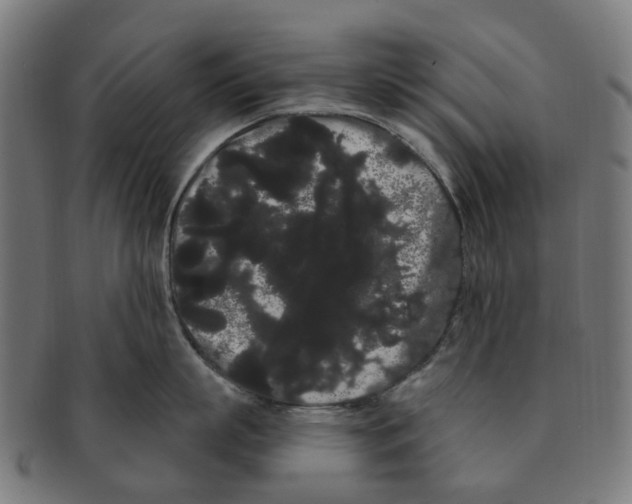X0000091240863200709061538