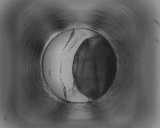 X0000091240864200709061538