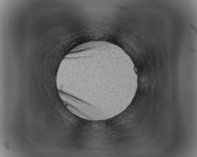 X0000091240865200709061538